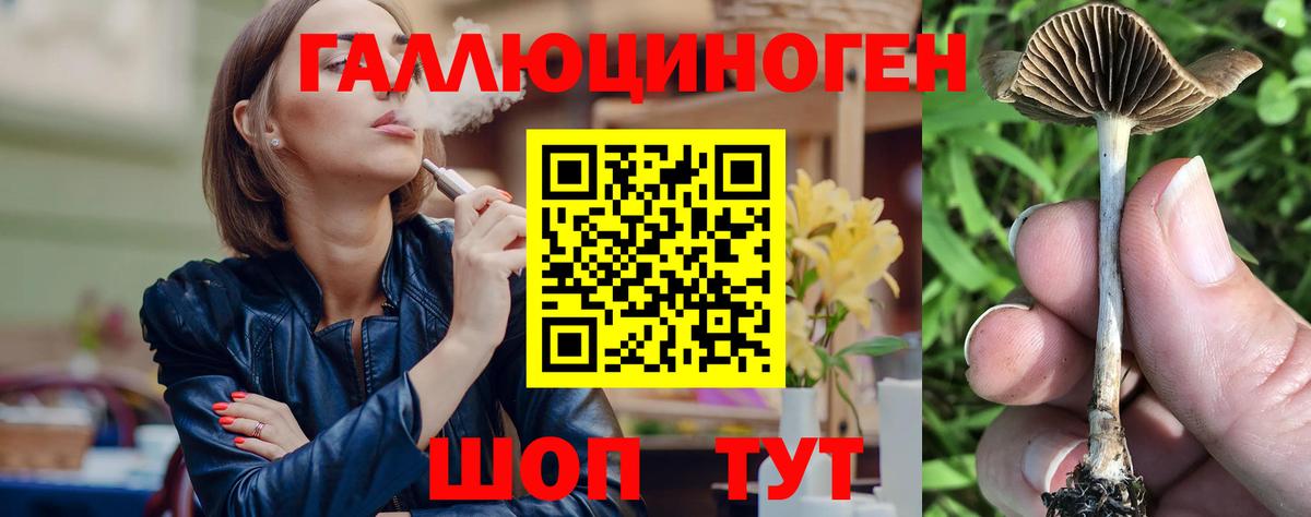 Галлюциногенные грибы Psilocybe Пушкино